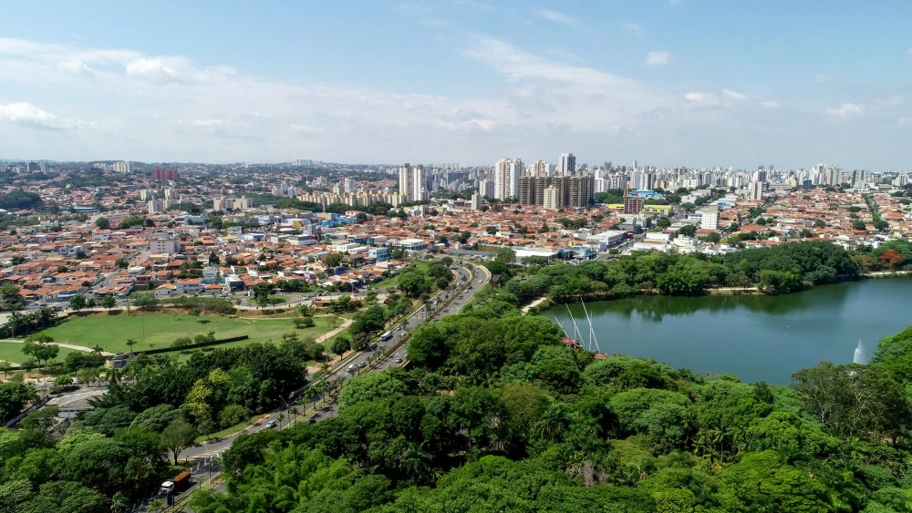 Campinas Sp Campinas Sp
